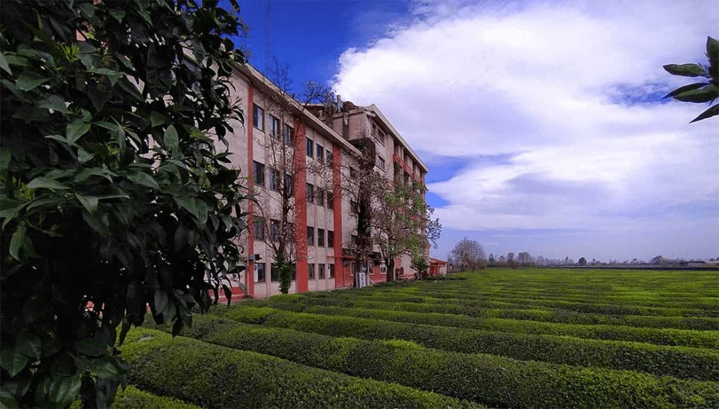 هتل های شمال کشور