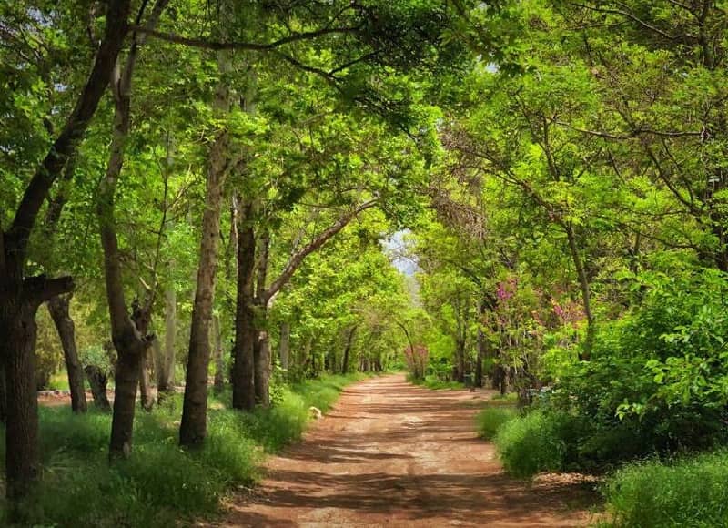 5 پارک بهشتی و زیبای شیراز در اردیبهشت