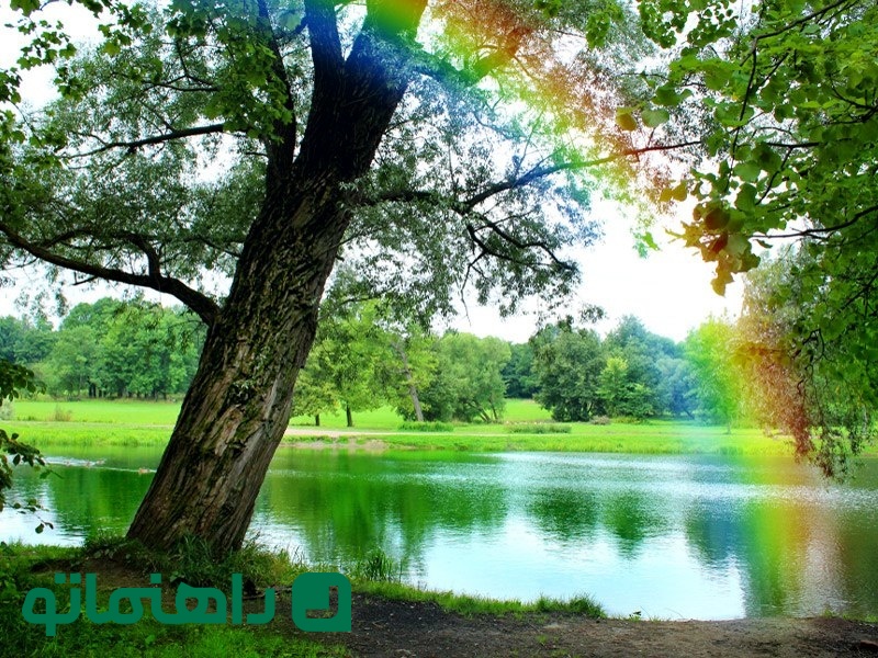 ۵ پارک جنگلی شرق تهران برای تعطیلات آخر هفته