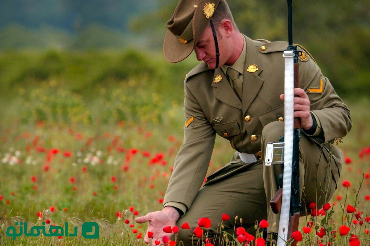 ۴ گل زیبا که نمی‌دانید نماد صلح هستند