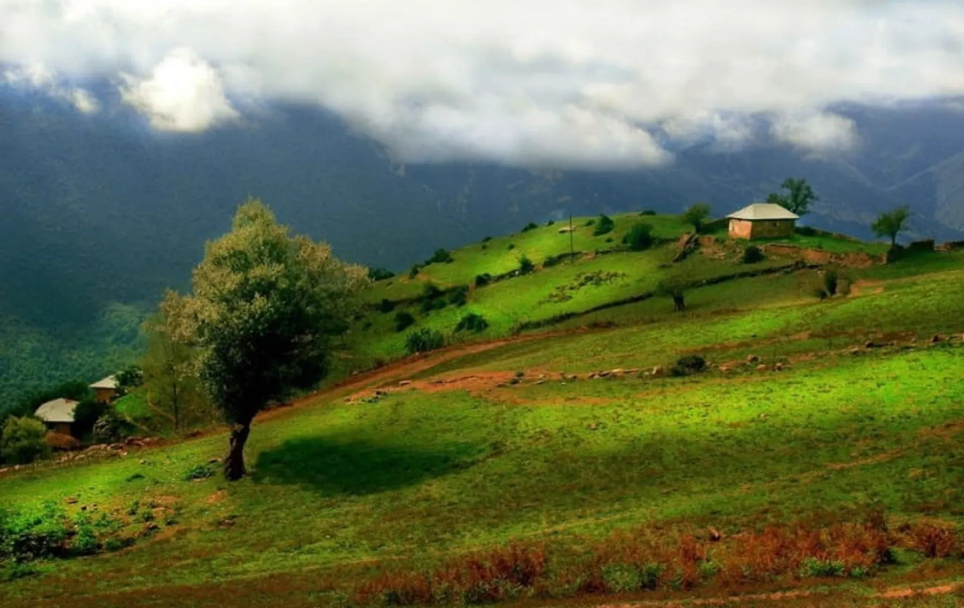 ۳ روستای بدون کولر سوادکوه برای یک سفر خنک در طبیعت 