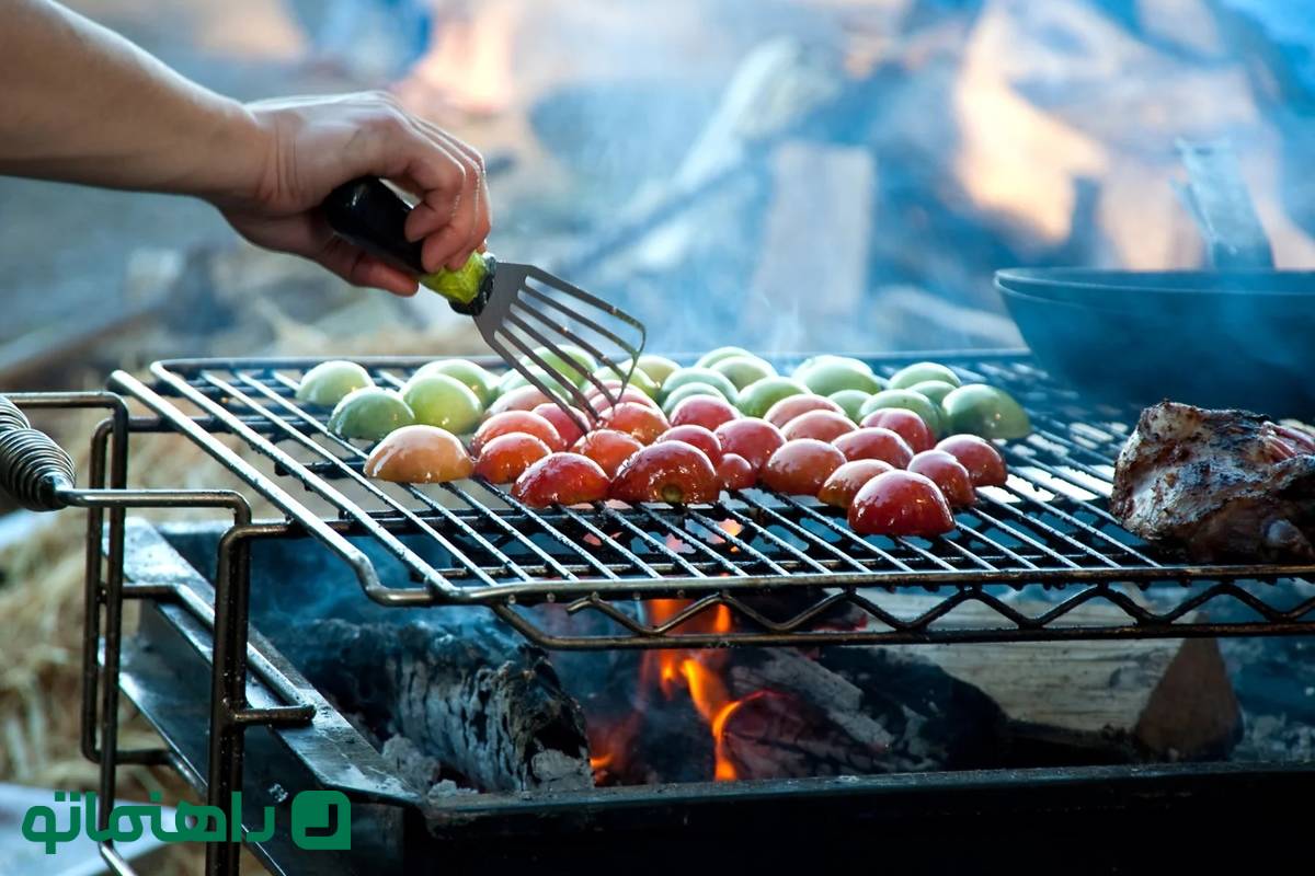 ارزان ترین کباب پز آپارتمانی چند؟ (بهار ۱۴۰۴)
