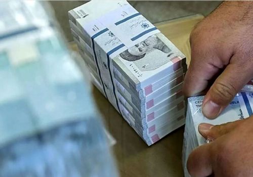 تصمیم جدید دولت برای بازار دام؛ وام 400 میلیاردی در راه است