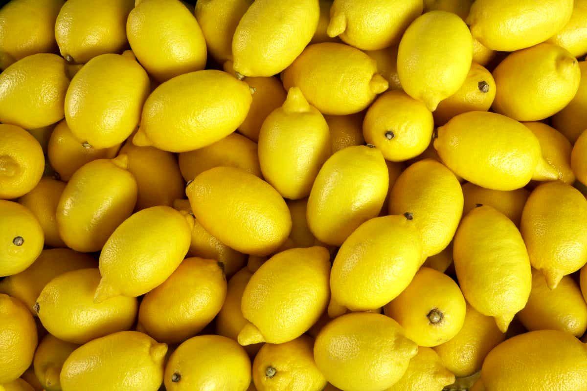 معجزه لیمو ترش/ شش نسخه طلایی برای پوست شما