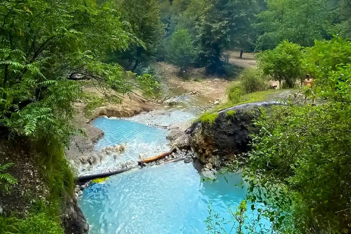 جنگل بلیران؛ بهشت پنهان مازندران کجاست؟