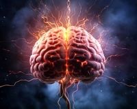 با این شش حرکت از خطر سکته مغزی در صبح جلوگیری کنید