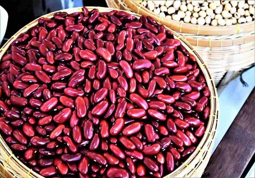 معجزه لوبیا؛ درمان بیماری‌های قلبی و دیابت پیدا شد