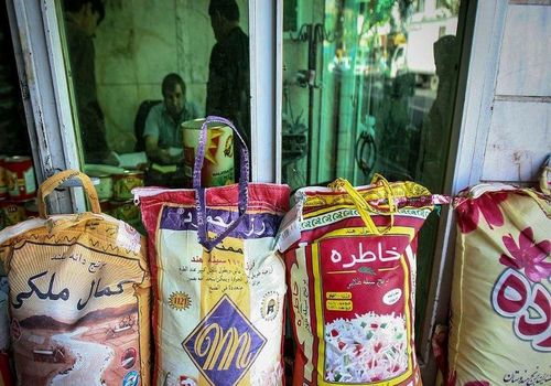قیمت جدید برنج اعلام شد؛ دانه‌بلند هندی کیلویی 50 هزار تومان
