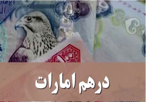 قیمت درهم امارات امروز پنجشنبه ۶ دی ۱۴۰۳ + جدول