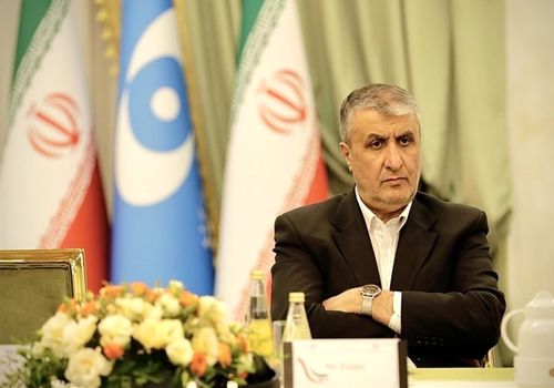 آخرین وضعیت از تأسیسات هسته‌ای از زبان رئیس سازمان انرژی اتمی
