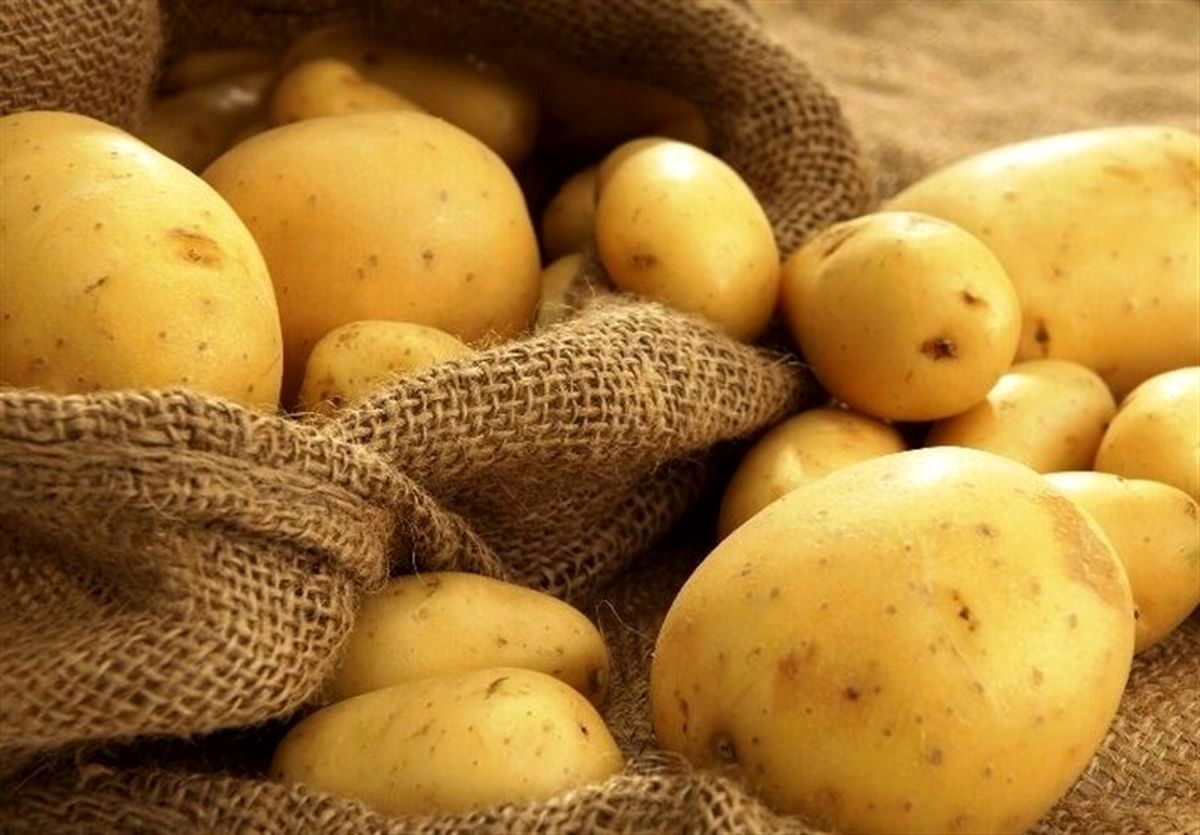 ارتباط مصرف سیب زمینی و کاهش وزن چیست؟