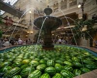هندوانه سوپرمیوه تابستانی برای قلب و عروق