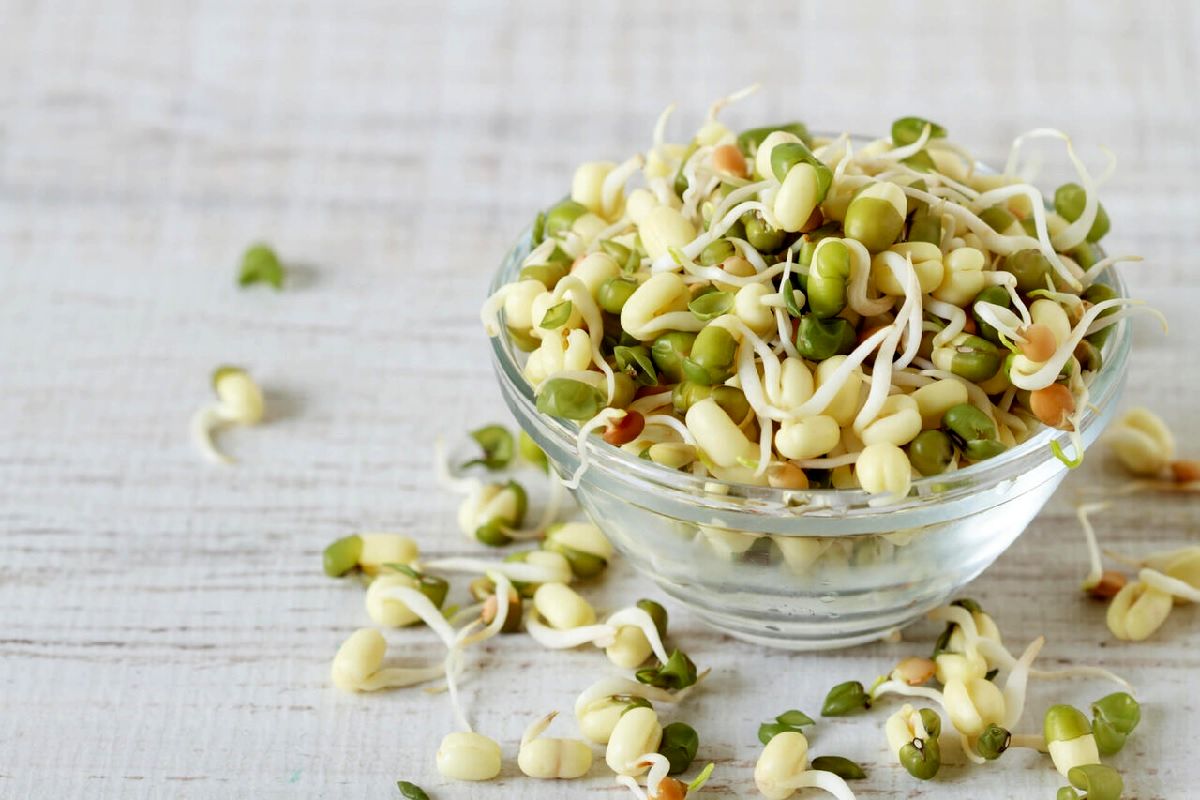 بمب ویتامین و پروتئین مشخص شد