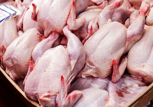 قیمت گوشت مرغ امروز ۶ خرداد ۱۴۰۴