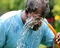 بهترین خوراکی برای فرار از گرمازدگی مشخص شد!