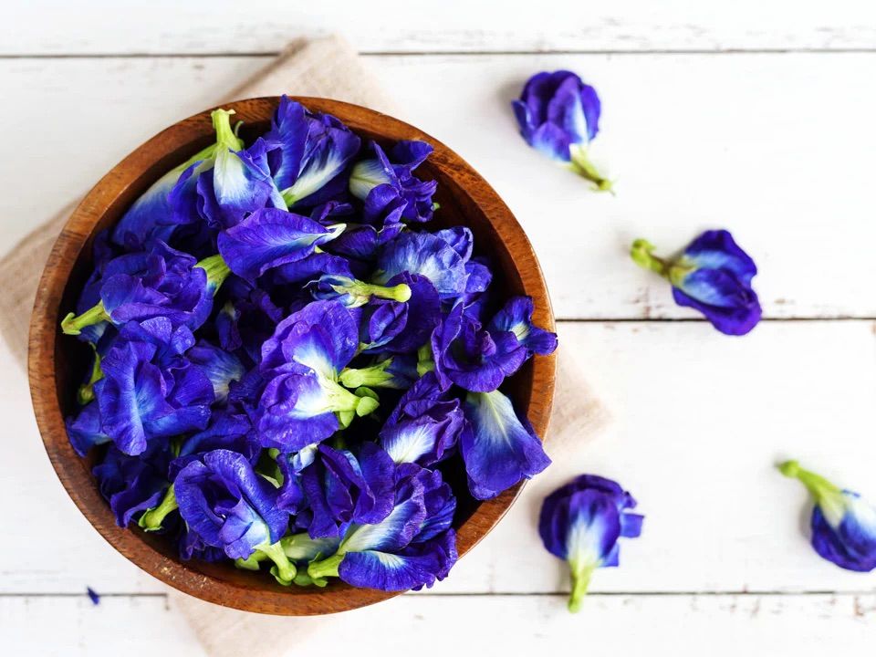 پروانۀ آبی؛ معجزه‌ای طبیعی برای پوست
