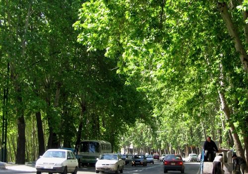 تصویر باورنکردنی از خیابان‌ ولیعصر تهران در سال ۱۳۲۹