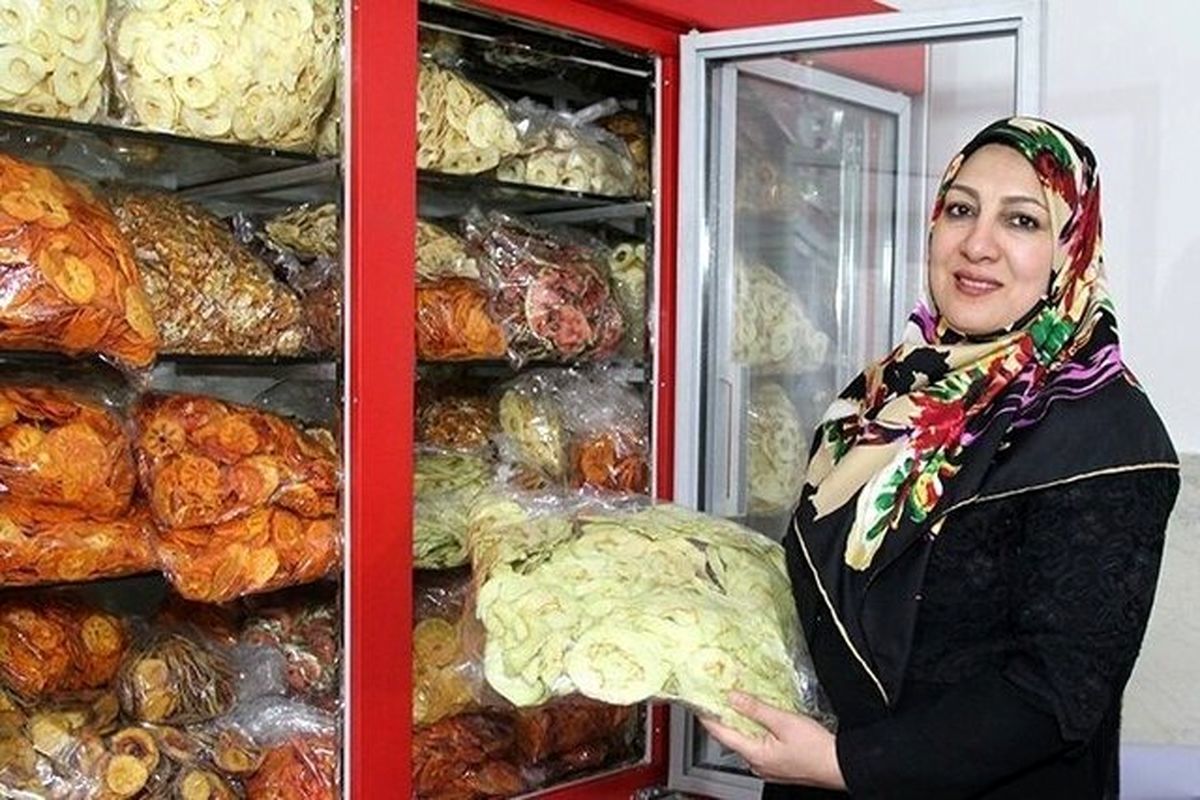 وام چهار میلیارد تومانی مشاغل خانگی؛ شرایط دریافت اعلام شد