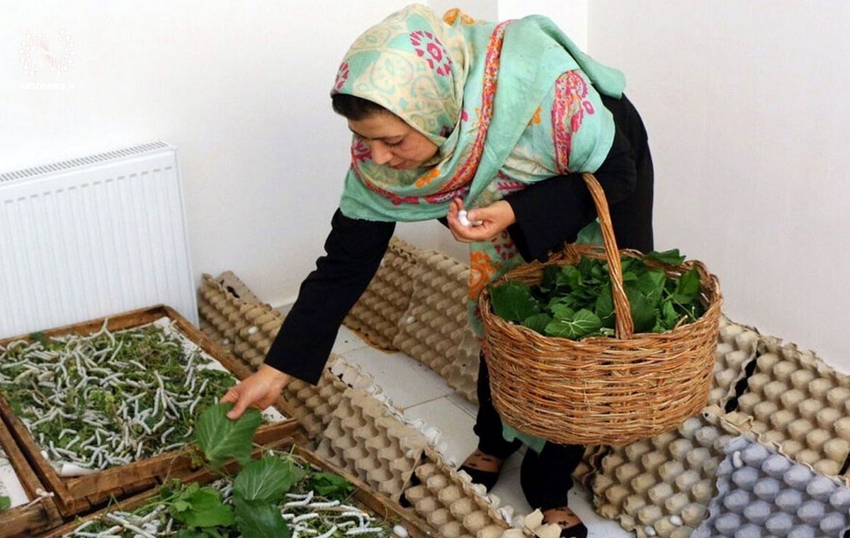خبر خوش به شاغلان خانگی؛ افزایش ۴۰ درصدی تسهیلات تصویب شد