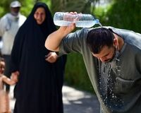 بهترین جایگزین برای آب در گرمای تابستان معرفی شد