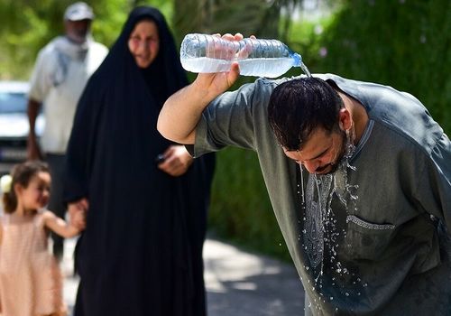 بهترین جایگزین برای آب در گرمای تابستان معرفی شد