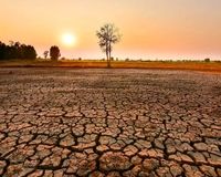 خشکسالی بلای جای گنبدکاووس شد
