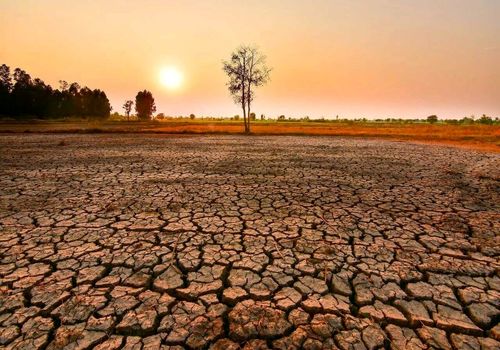 خشکسالی بلای جای گنبدکاووس شد