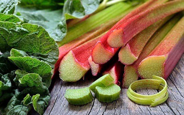حراج میراث طبیعی زاگرس؛ ۱۳ گونه شاخص گیاهی در خطر انقراض