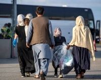 کارفرمایان بخوانند؛ جریمه استخدام اتباع غیرمجاز چیست؟