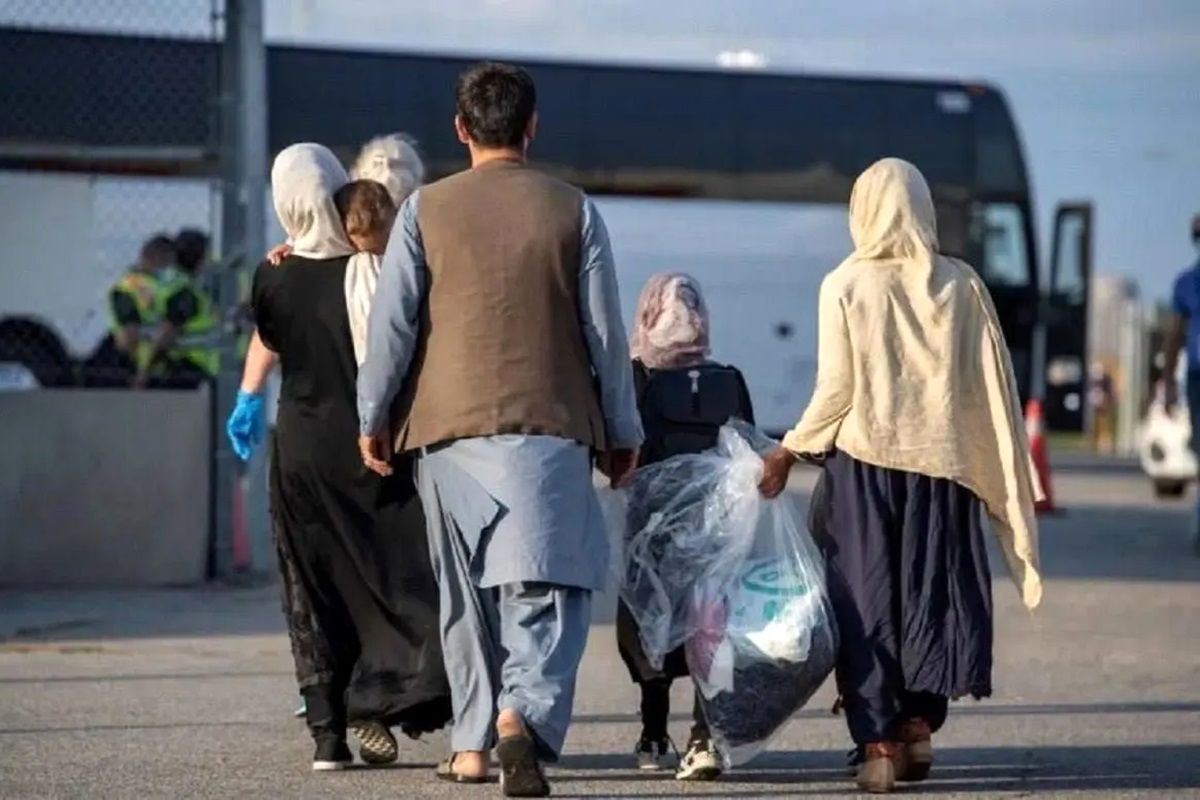 کارفرمایان بخوانند؛ جریمه استخدام اتباع غیرمجاز چیست؟