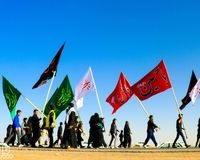 ببینید| چالش جدید زائران ایرانی برای ورود به عراق