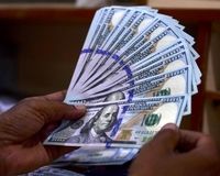 سیگنال پالرمو به بازار ارز؛ منتظر کاهش قیمت‌ها باشیم؟