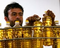 قیمت جدید روغن در بازار؛ حلب پنج کیلویی نیم میلیون تومان!