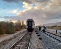 تصادف قطار با گله گوسفندان در سرخس (ویدئو)