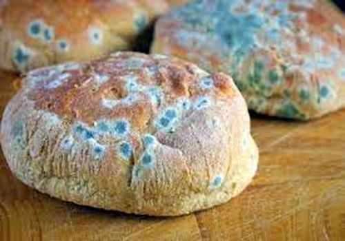 هشدار درباره قاتل بی‌صدا در یخچال خانه‌ها!