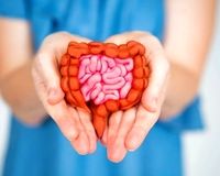 چهار ویتامین که برای حفظ سلامت روده واجب است 
