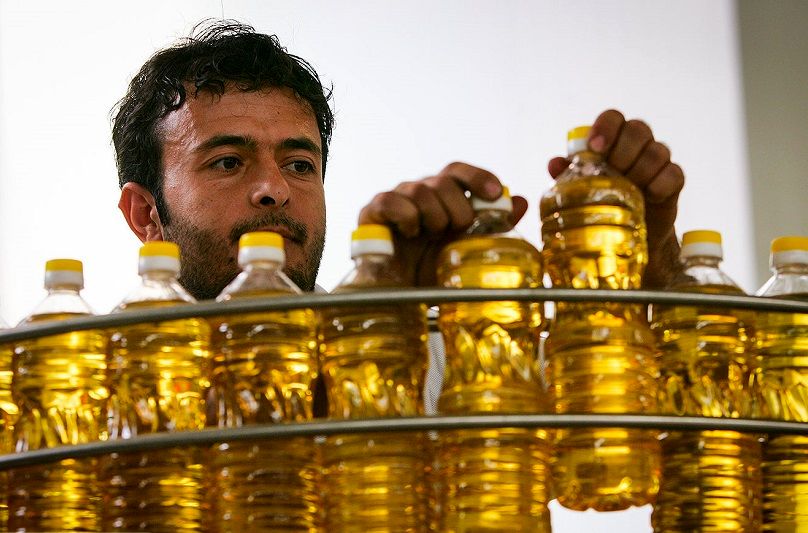 قصه ناتمام روغن در بازار؛ روغن هست اما با رب و تن ماهی!