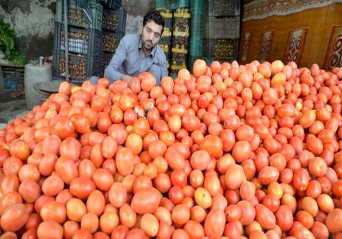 عراق واردات ۳ محصول کشاورزی را ممنوع کرد