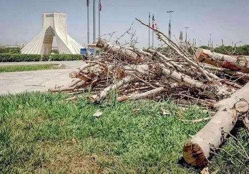 جنجال قطع درخت به میدان آزادی رسید!‌