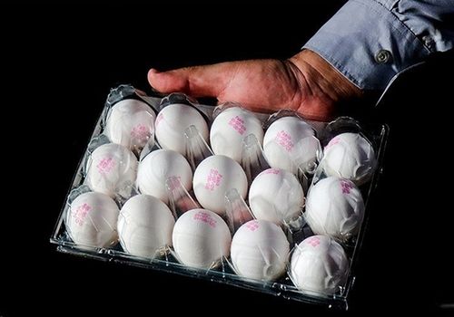 قیمت جدید تخم‌مرغ اعلام شد‌