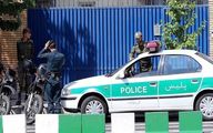 کشف محموله بزرگ حیوانات تاکسیدرمی و سلاح در تهران