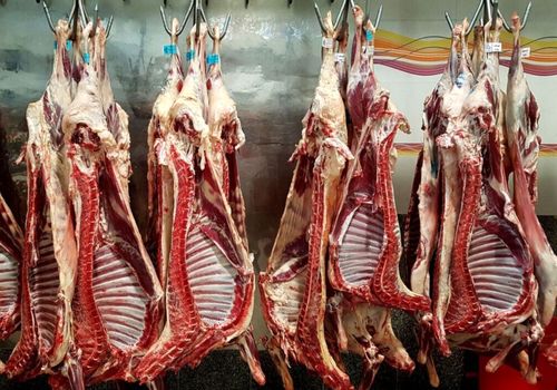 مسیر کاهش قیمت گوشت هموار شد