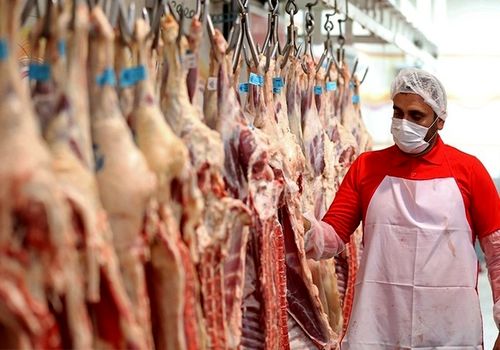 گوشت قرمز مجلس و دولت را روبروی هم قرار داد!