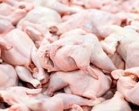 قیمت گوشت مرغ امروز سه‌شنبه ۱۶ اردیبهشت ۱۴۰۴/ فیله مرغ چند؟