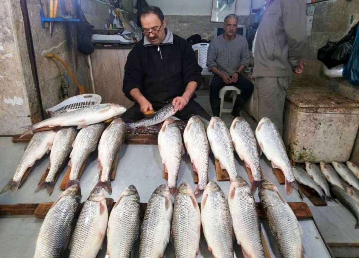 قیمت انواع ماهی در بازار چند؟