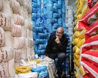 مورد عجیب برنج/ مسئولان وعده می‌دهند، قیمت‌ها بالاتر می‌رود