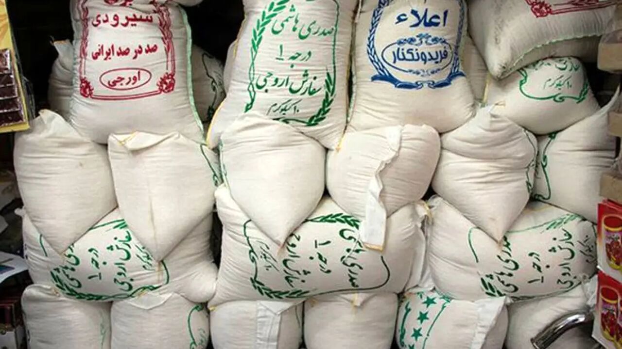 کاهش قیمت برنج ایرانی؛ افت 30 درصدی در میادین میوه‌وتره‌بار