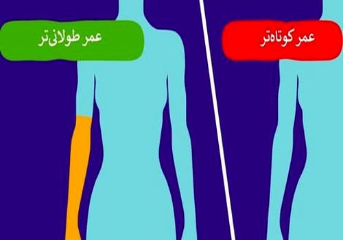 ۸ واقعیت درباره بدن شما که نشان می‌دهد عمر طولانی‌تری خواهید داشت