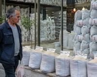 برنج ایرانی به کیلویی 250 هزار تومان رسید؛ بازار، بی‌اعتنا به تصمیم دولت!