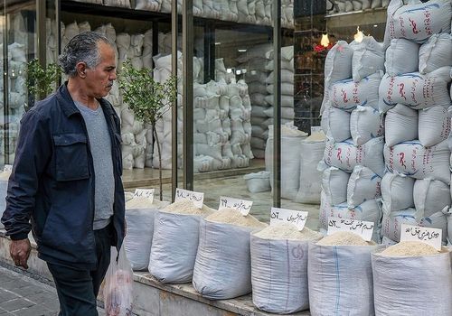 تیر دولت به قلب دلال‌های برنج!